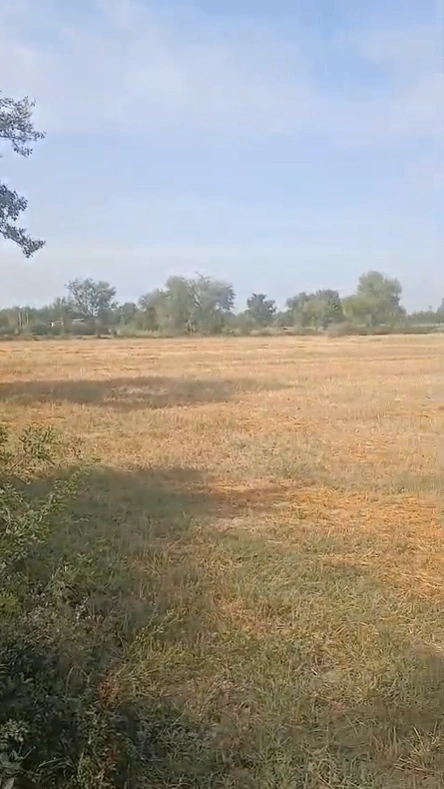 QCMX+X82, Jaipur, Shyosingpura Basri, Rajasthan 303007, India