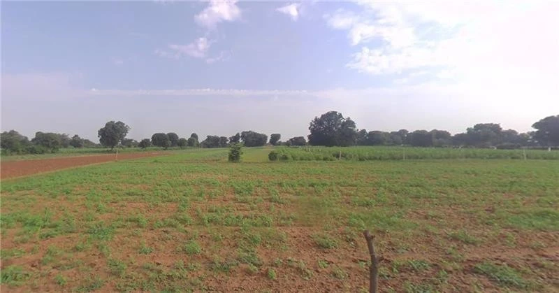 FJ7Q+7P Khirai, Gujarat, India