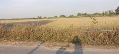Mehna, Punjab 142011, India preview 2