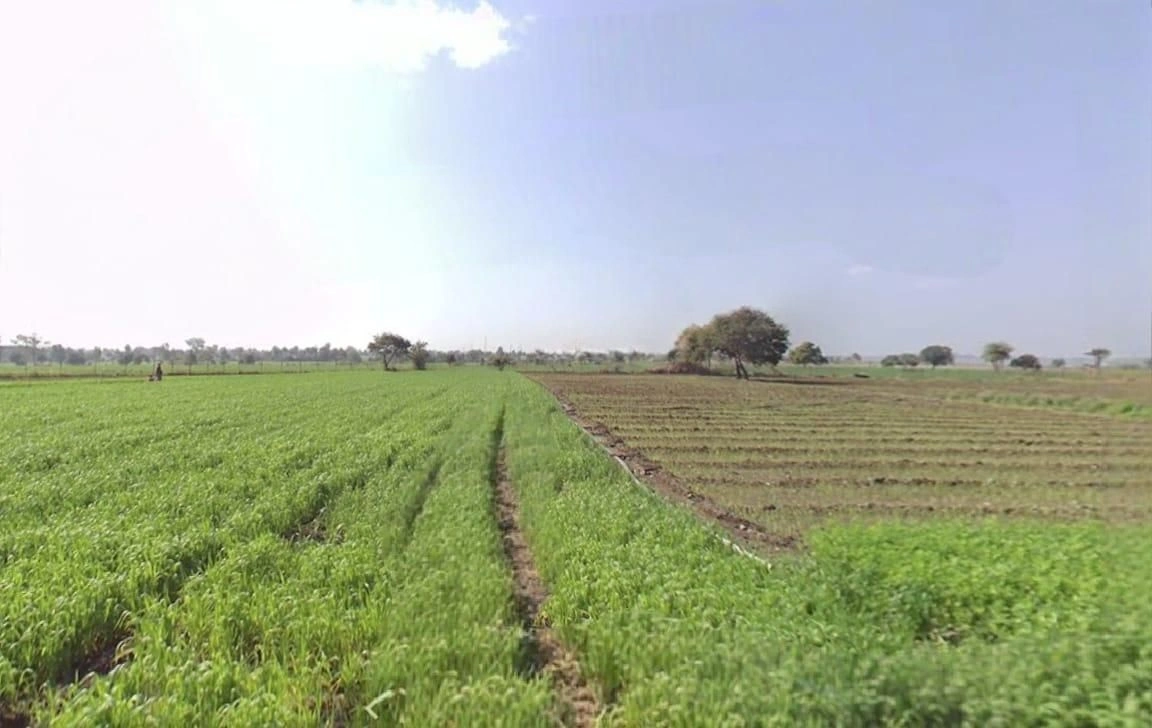 Nalkheda, Madhya Pradesh 465445, India