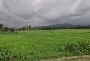 8H8V+QCC, Faizabad, Uttar Pradesh 247121, India preview 3