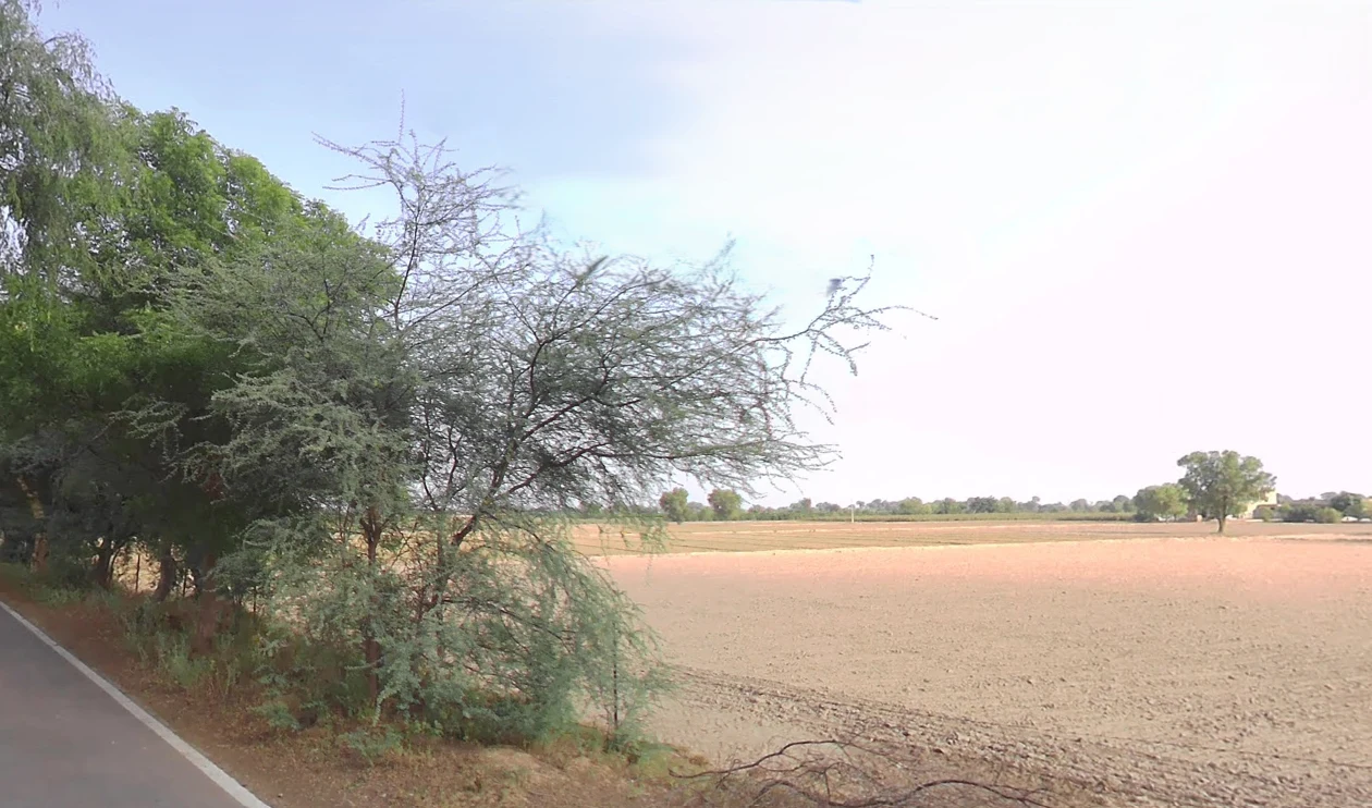 Kaluana, Haryana 125103, India preview 3