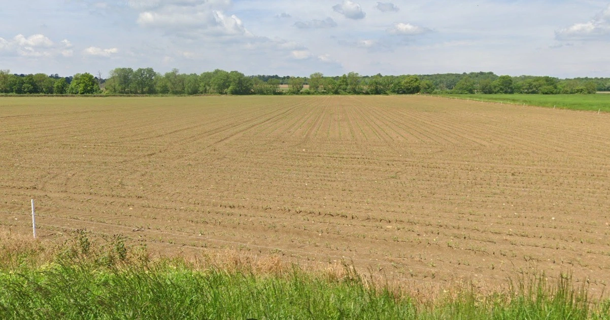 Bari, Madhya Pradesh 464668, India