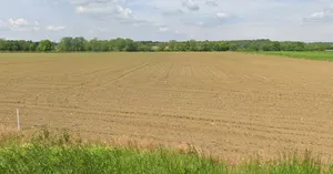 Bari, Madhya Pradesh 464668, India preview 3