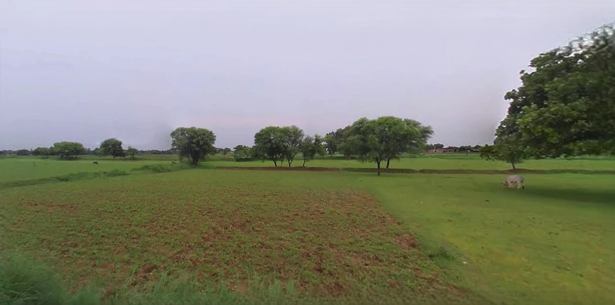 Prayagraj, Uttar Pradesh, India