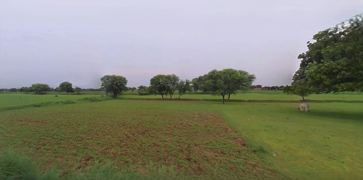 Prayagraj, Uttar Pradesh, India