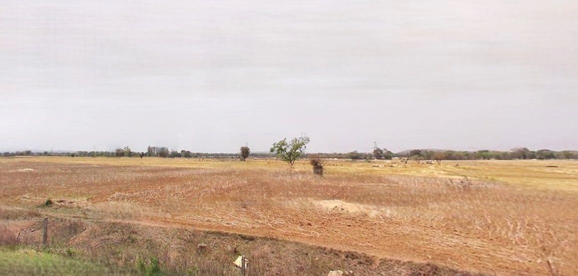 Suar, Uttar Pradesh 244924, India