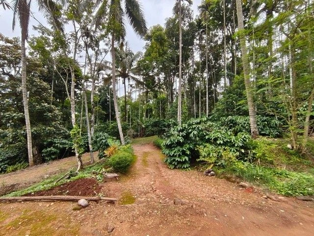 M6X8+4CF, Vakery, Irulam, Kerala 673592, India preview 3