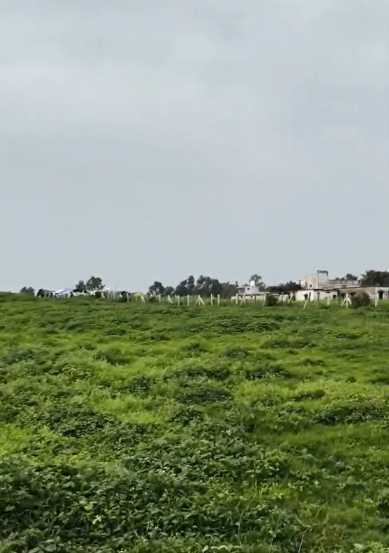 JWM8+GHF, Indore, Mirjapur, Madhya Pradesh 452020, India