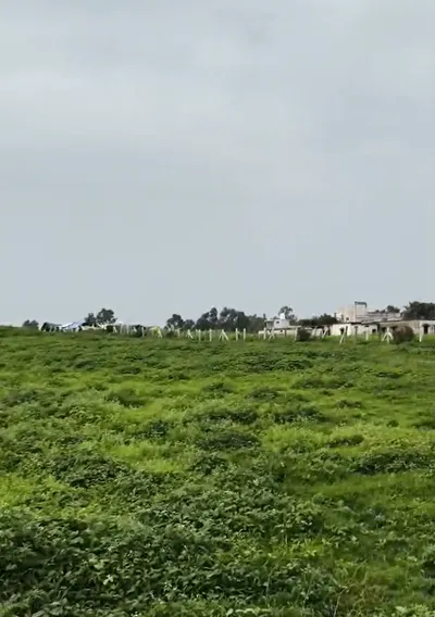JWM8+GHF, Indore, Mirjapur, Madhya Pradesh 452020, India preview 3