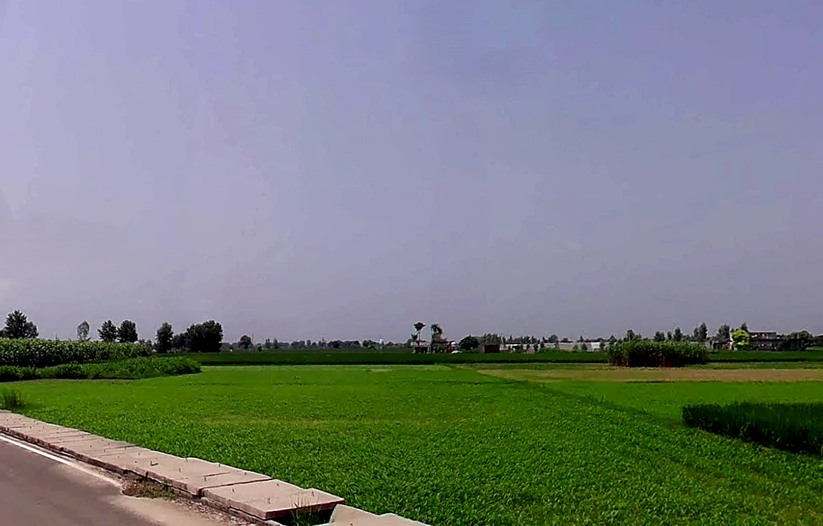 3M77+HVW, Bodhani, Loatani, Haryana 136129, India