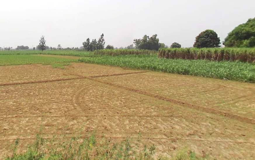 Vill Matora, Po, Mawana, Mataura, Uttar Pradesh 250401, India