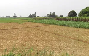 Vill Matora, Po, Mawana, Mataura, Uttar Pradesh 250401, India preview 2