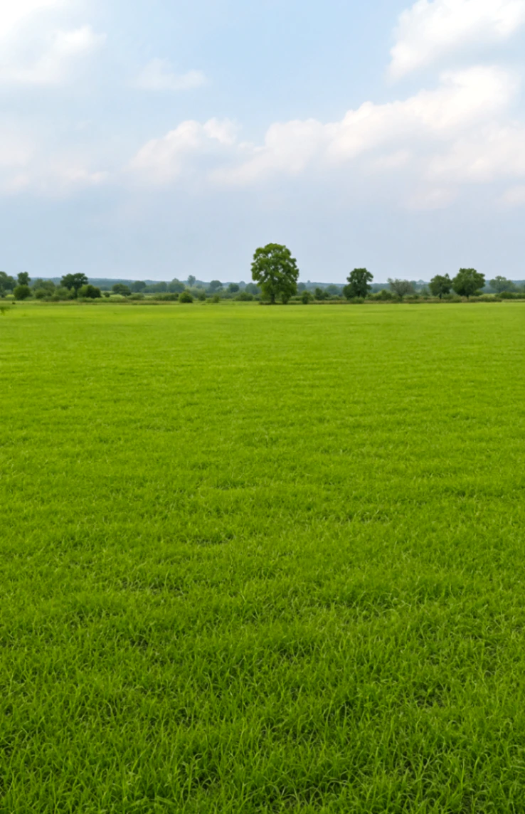 Sonkatch, Dewas, Madhya Pradesh 455118, India