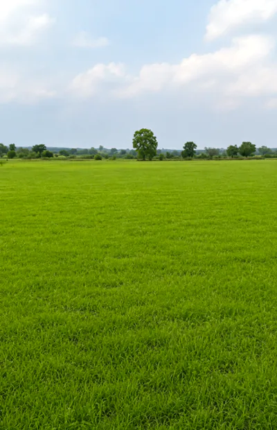 Sonkatch, Dewas, Madhya Pradesh 455118, India preview 3