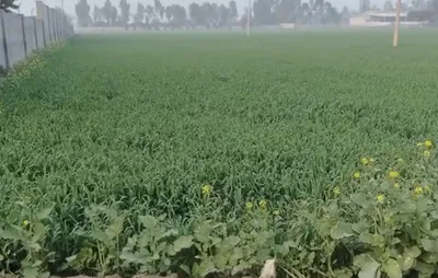 Dhulet, Madhya Pradesh 452016, India preview 3