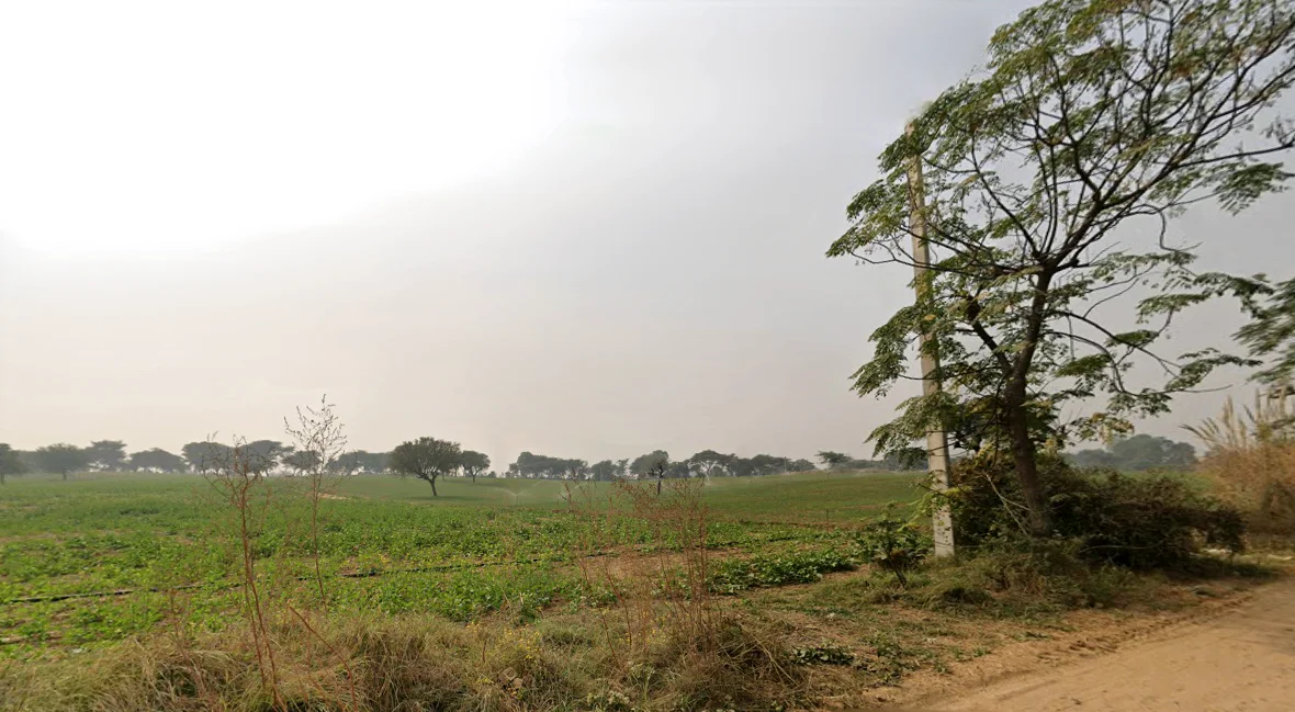 Hetampura, Haryana 127029, India preview 3