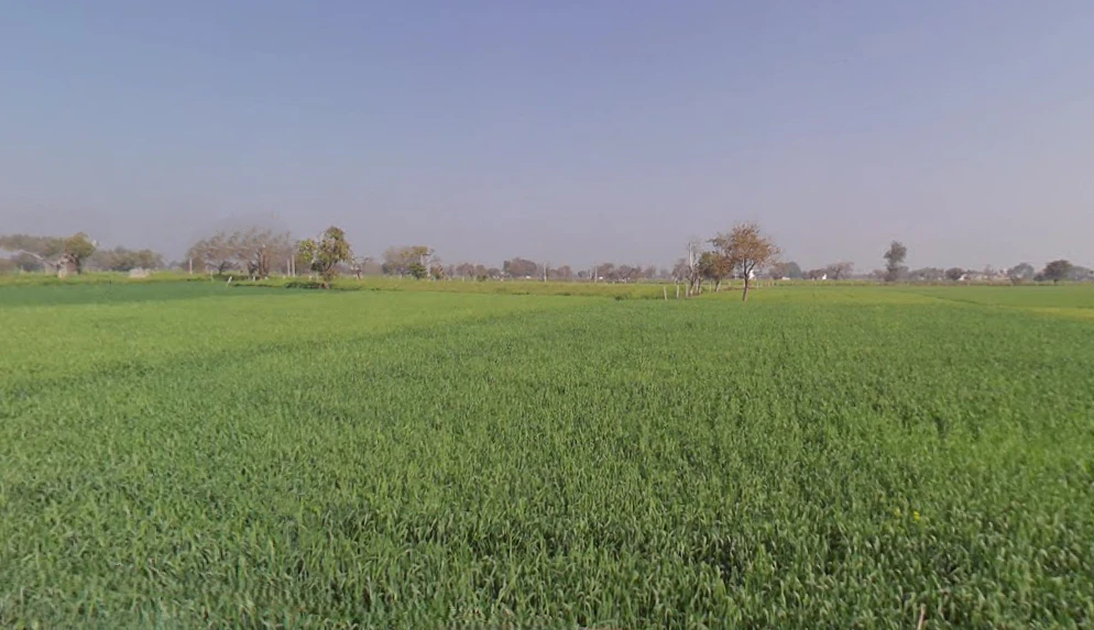 Barodameo, Rajasthan 301021, India