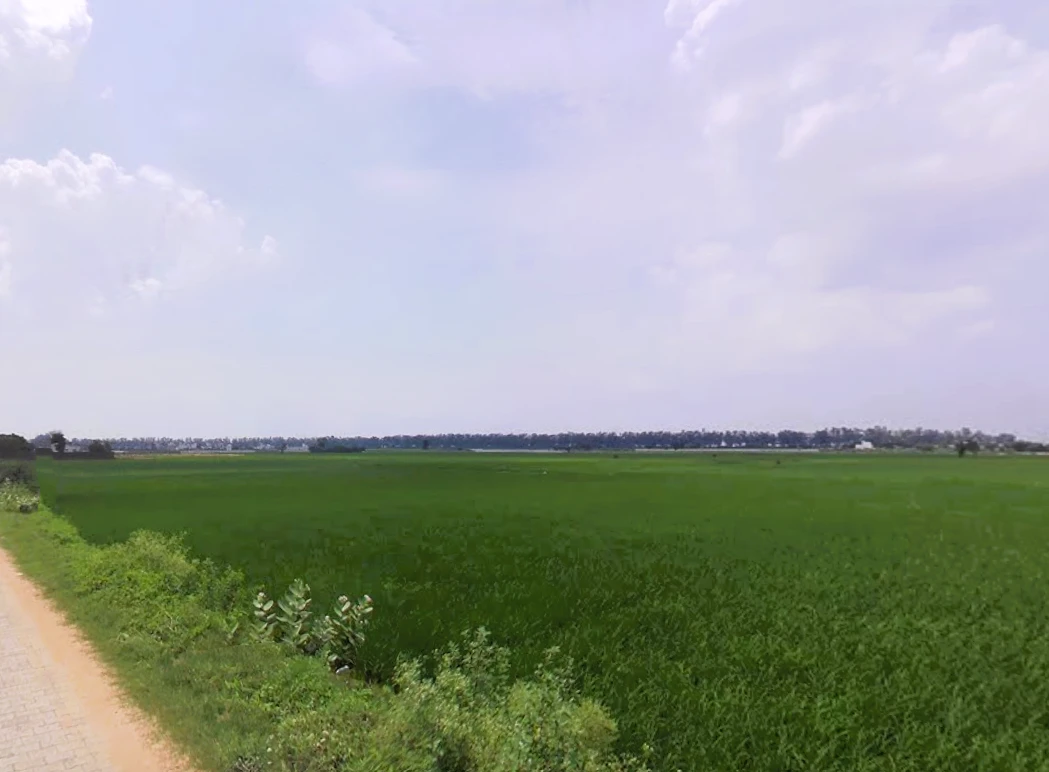 Maina, Haryana, India