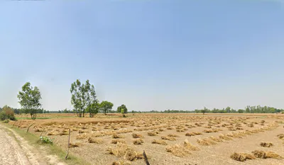 Dataganj, Uttar Pradesh 243635, India preview 3