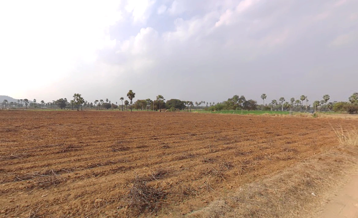 JXCP+XJ Tallagudem, Telangana, India