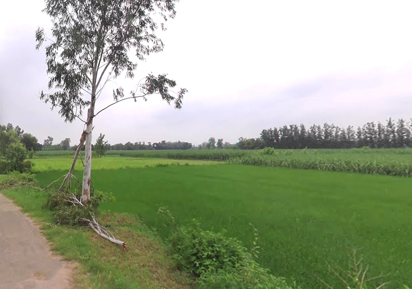 Bhagwanpur, Uttarakhand 247661, India