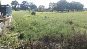 Ganj Basoda, Madhya Pradesh 464221, India preview 3