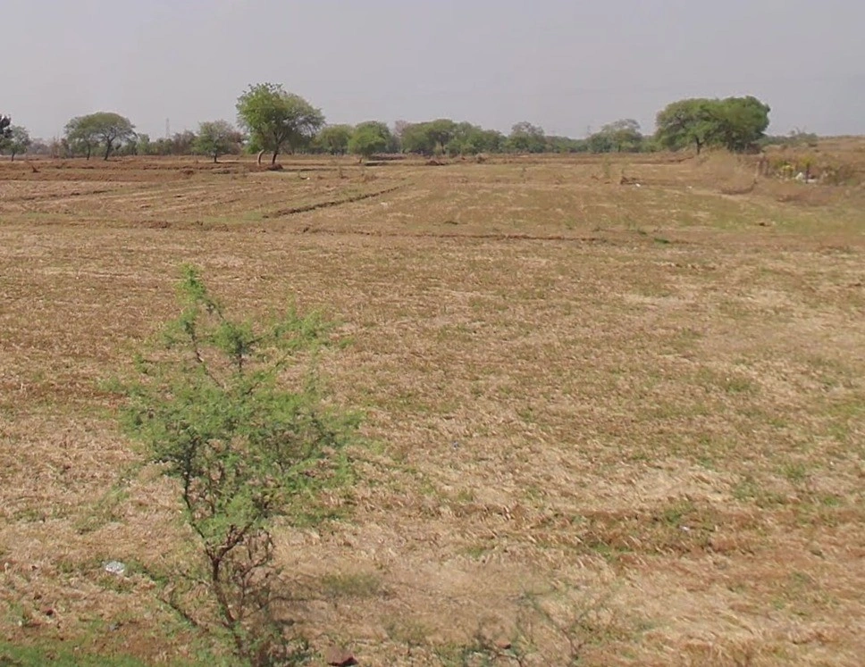 Avanti Vihar, Shankar Nagar, Raipur, Chhattisgarh 492001, India