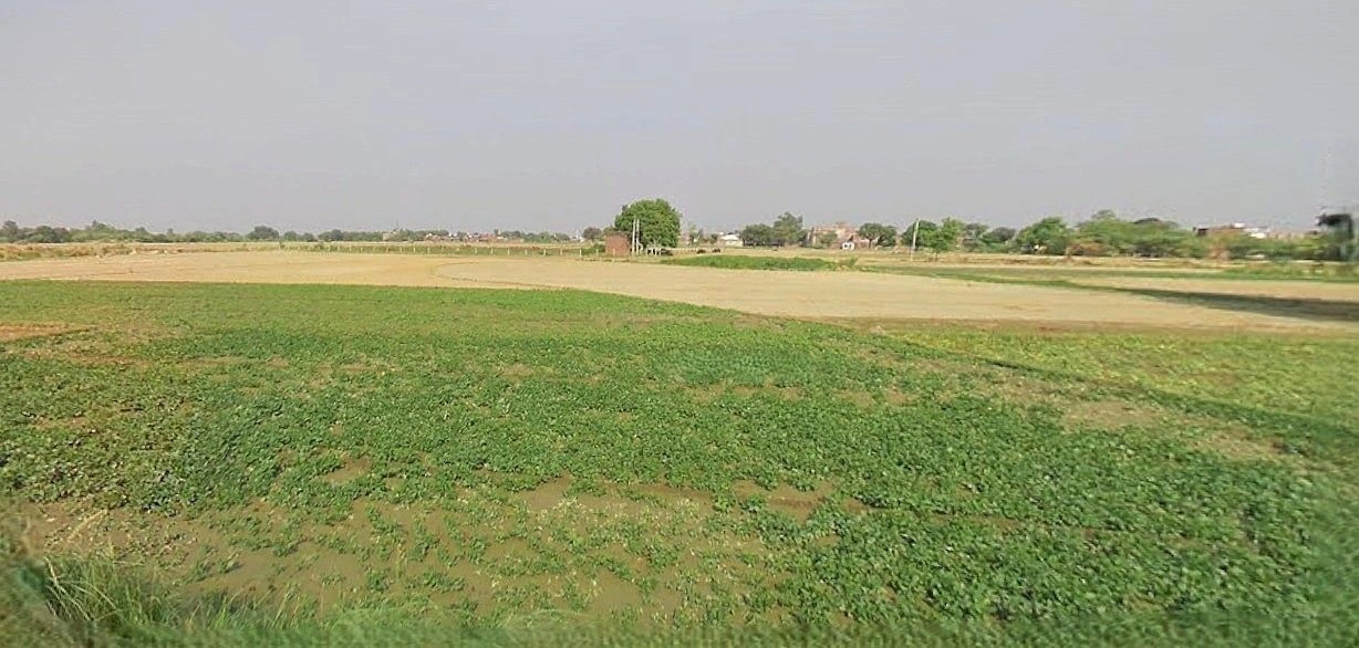 Jewar, Uttar Pradesh 203135, India