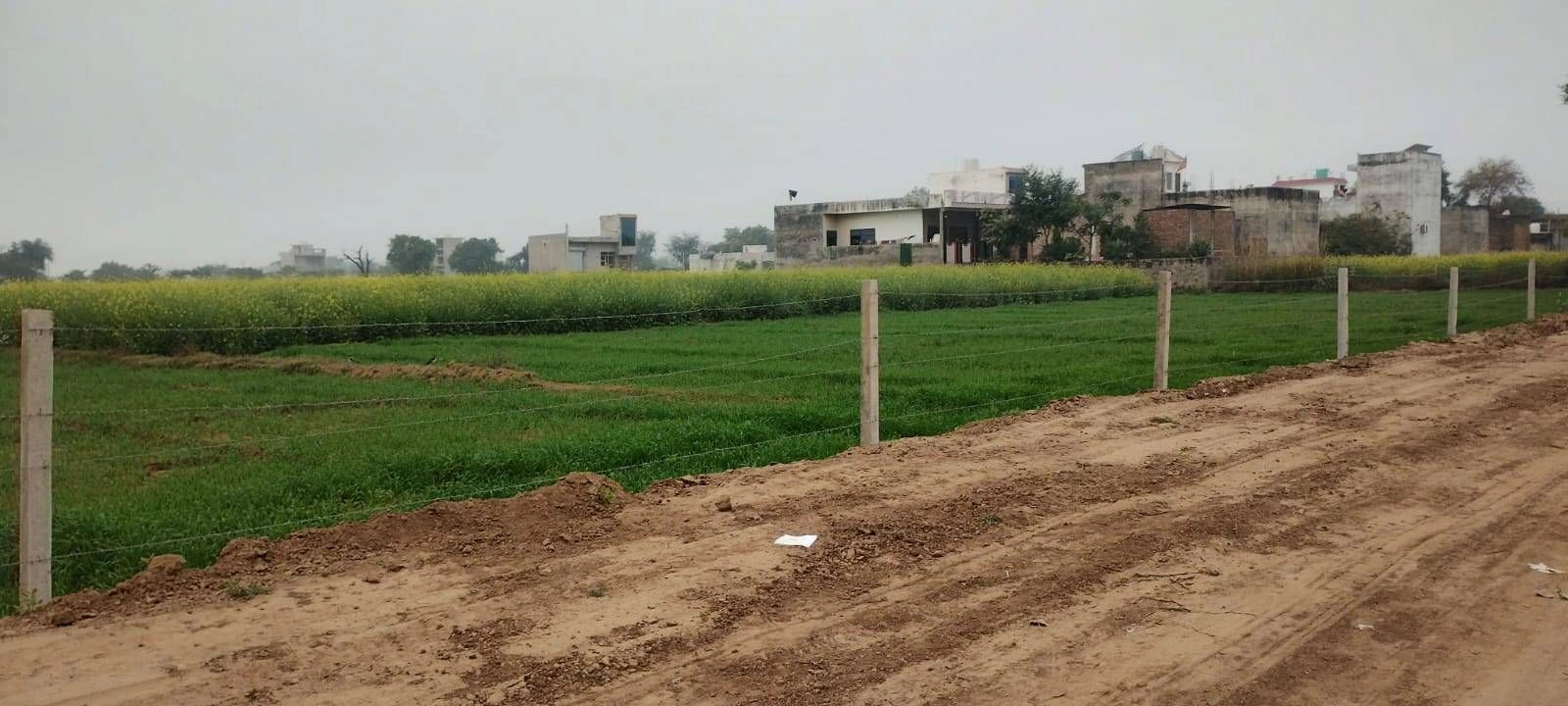 6XV3+HQ4, Nuh, Sector 86, Gurugram, Guddhi, Haryana 122105, India preview 3