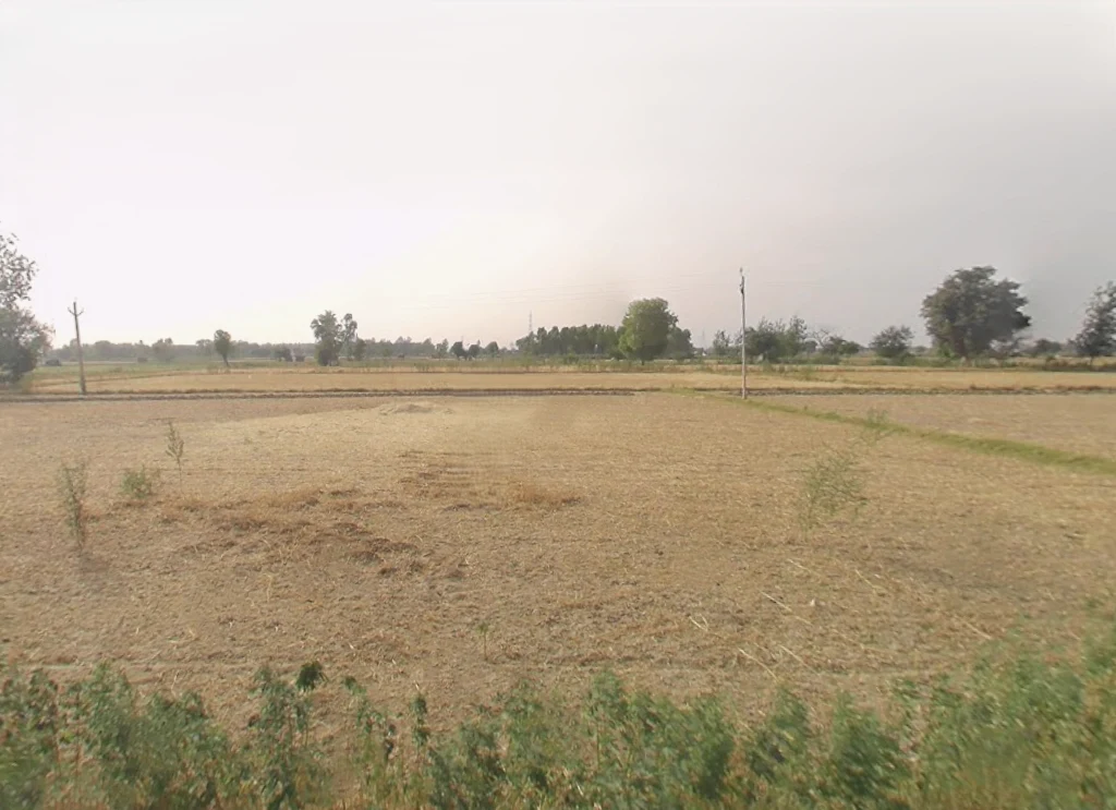 Khurja, Uttar Pradesh 203131, India