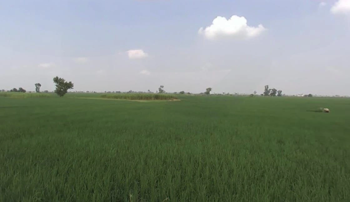 Khategaon, Madhya Pradesh 455336, India