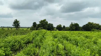 9VJH+5J Kompally, Vikarabad, Telangana, India preview 3