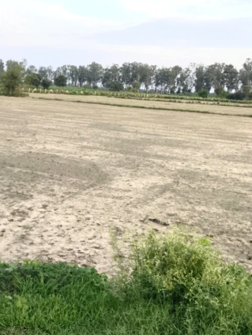 X66G+R36, Palwal, Kot, Haryana 121103, India