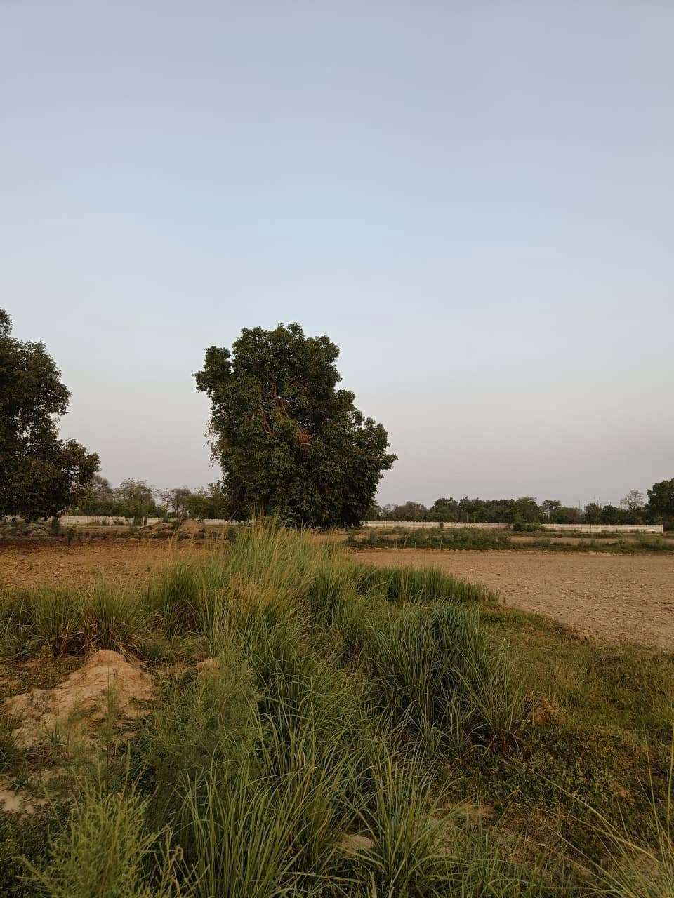 Tentigaon, Uttar Pradesh, India