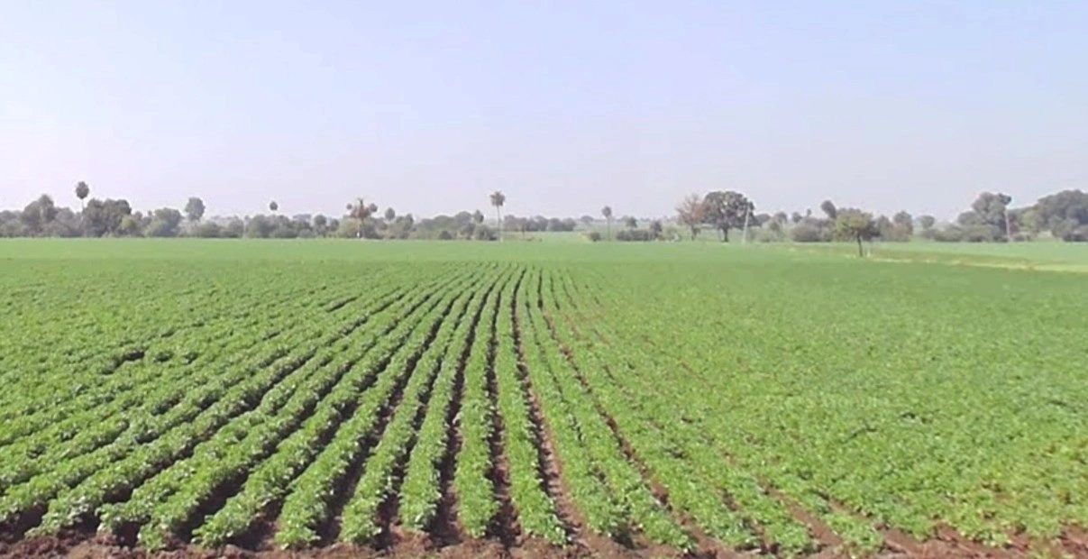 Malikhedi, Bhopal, Madhya Pradesh, India