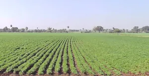 Malikhedi, Bhopal, Madhya Pradesh, India preview 3