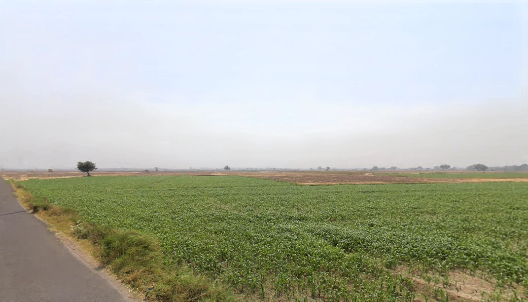 Hassangarh, Haryana 124404, India