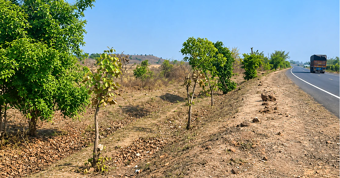 Buxwaha, Chhatarpur, Madhya Pradesh, India