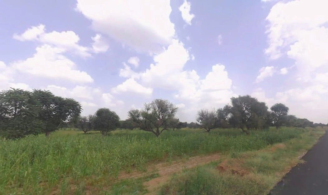 Khachariawas, Rajasthan 332710, India preview 2