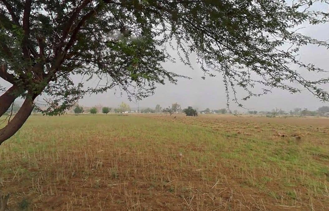 RJ SH 25, Chamroda, Rajasthan, India