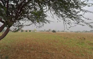 RJ SH 25, Chamroda, Rajasthan, India preview 3