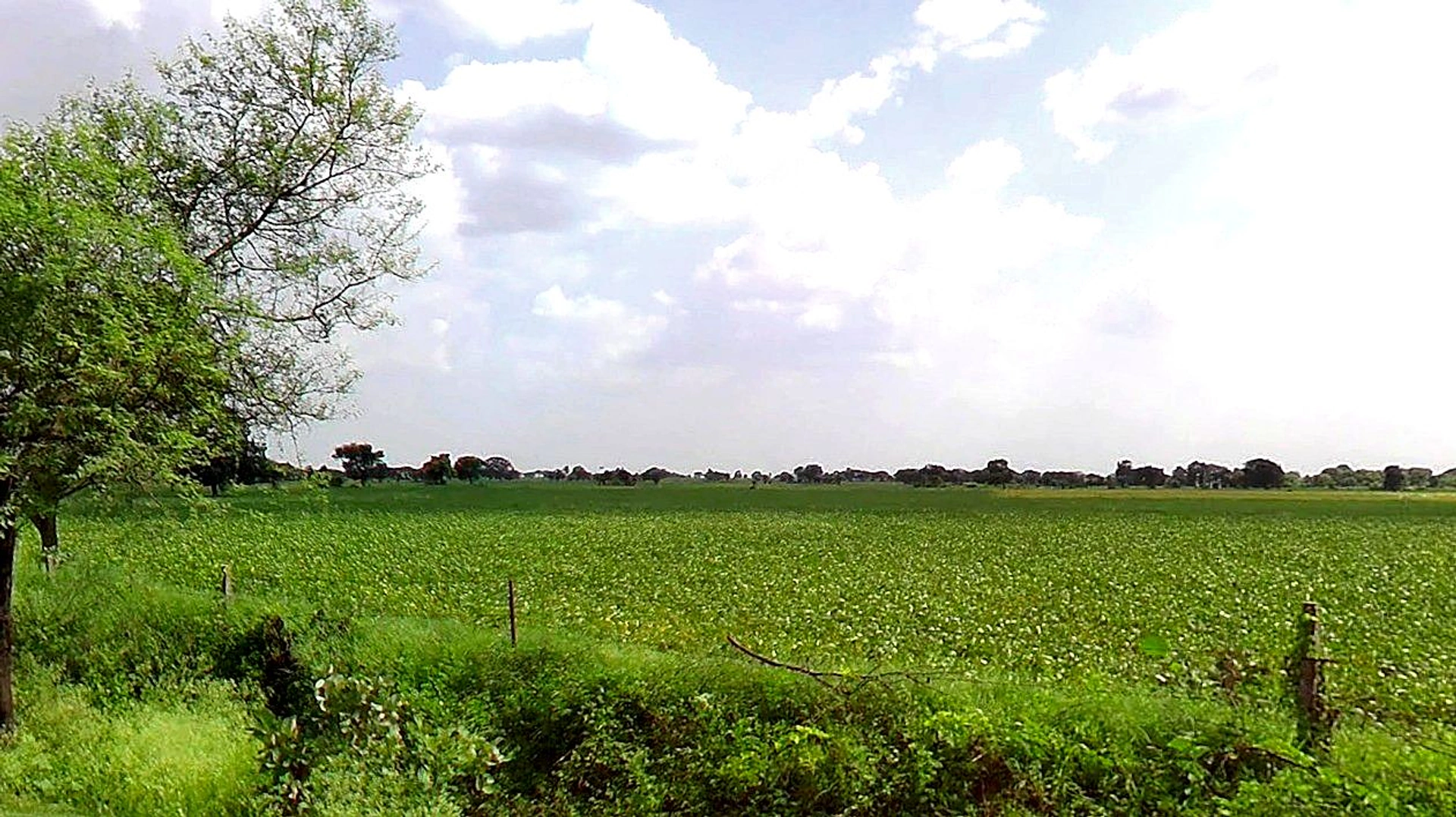 FQJ2+3RP, Jawasyapanth, Madhya Pradesh 456443, India