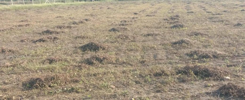 Salgyawas, Rajasthan, India