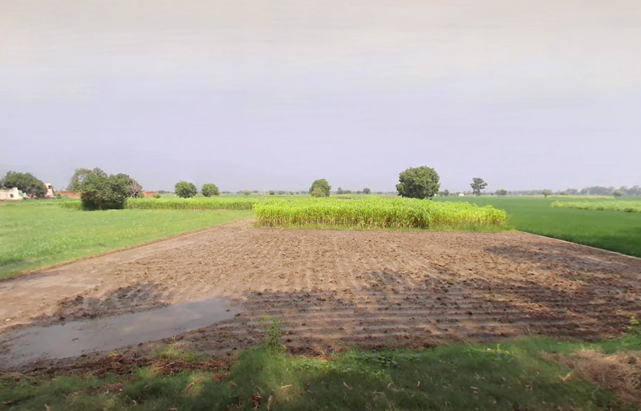 Kinana, Haryana 126114, India