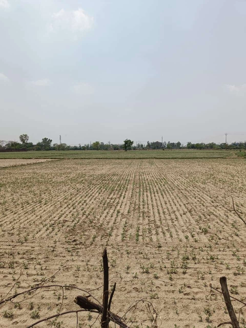 Kanwarpura, Kota, Rajasthan, India preview 3