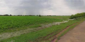 Haridwar, Uttarakhand, India preview 3