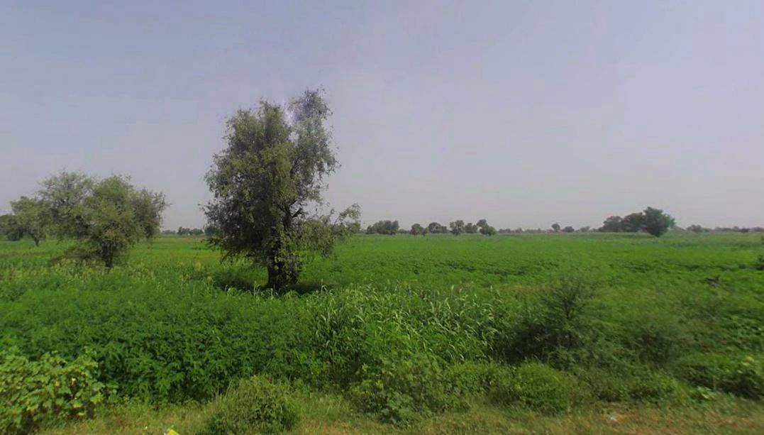 Kathoomar, Rajasthan 321605, India