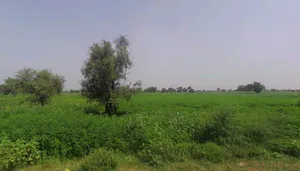 Kathoomar, Rajasthan 321605, India preview 3
