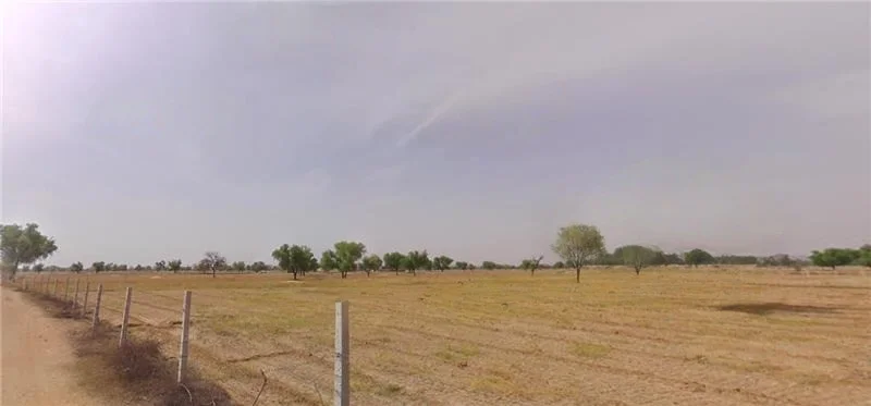 Meloj, Gujarat 384151, India preview 2